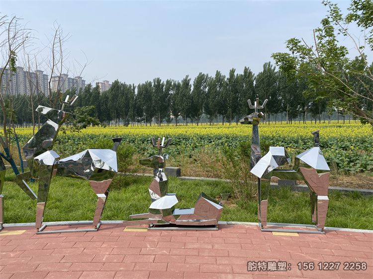 IMG_3320 IMG_3320