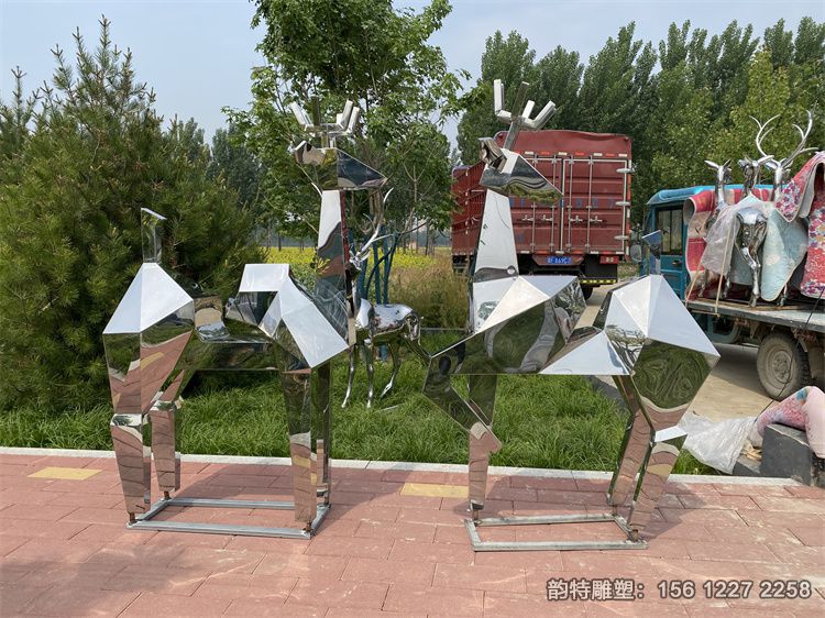 IMG_3305 IMG_3305